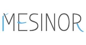 logo mesinor logo mesinor